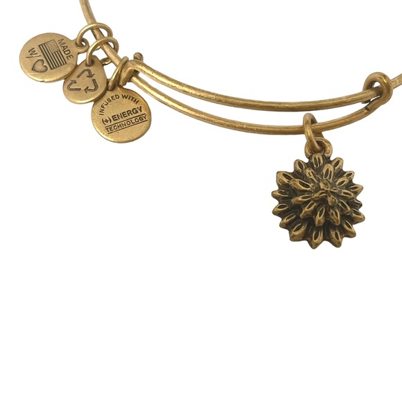 new Alex and Ani ꥟ Sacred Garden - Water Lily Charm Bangle Bracelet ꥟ Gold - Picture 10 of 14